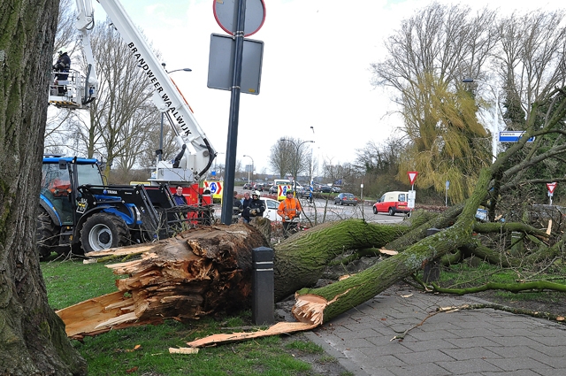 Boom dreigt om te vallen op brandweerkazerne aan de Hertog Janstraat Waalwijk