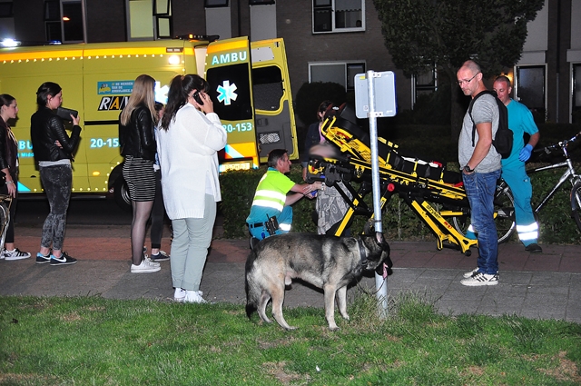 Herdershond trekt vrouw van fiets aan de Burg. Teijssenlaan Waalwijk