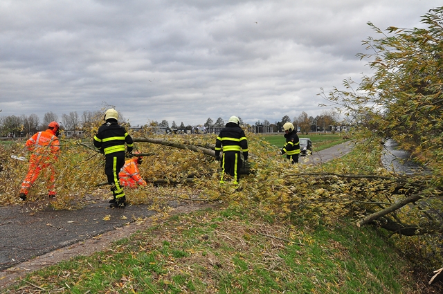 Boom omgewaaid op wegdek Waalwijk