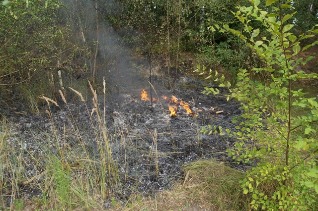 Wandelaars merken heidebrand in Waalwijk op, brandweer voorkomt erger