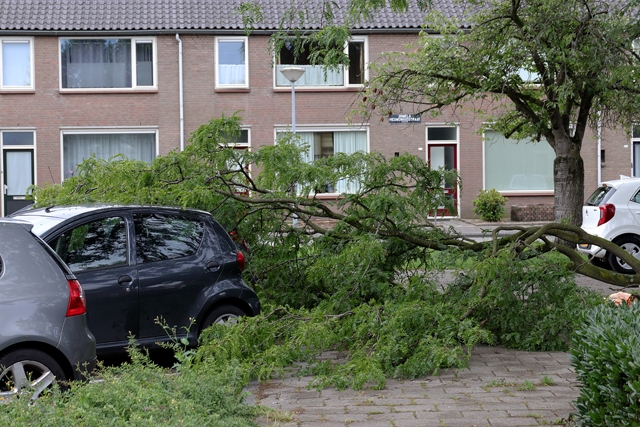 Grote tak valt op twee auto’s aan de Prof. Treubstraat Waawijk