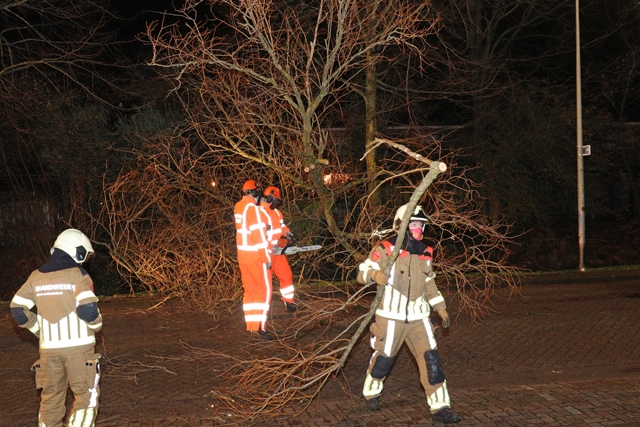Boom op wegdek door storm aan de Beethovenlaan Waalwijk