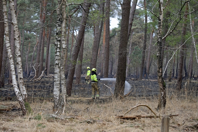 Brandweer grijpt snel in bij de Loonse en Drunense Duinen