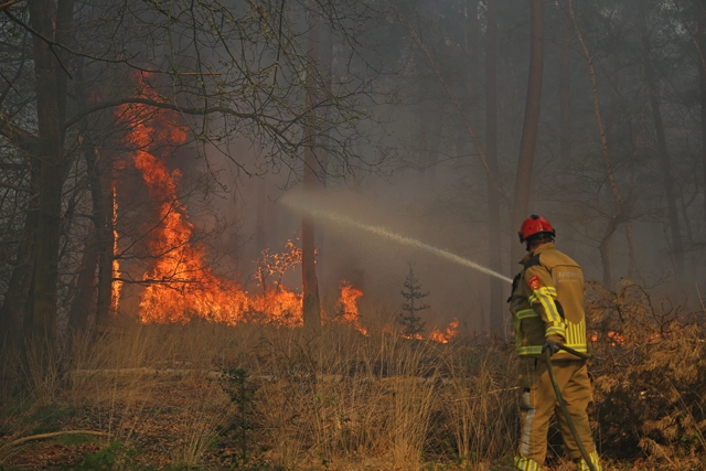 Zeer grote brand in bossen Loonse en Drunense Duinen Waalwijk – Drunen