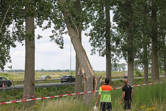 Snelweg A59 in beide richtingen volledig dicht door dreigend boomgevaar bij Winterdijk